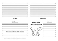 Haubenmeise-Faltbuch-vierseitig.pdf